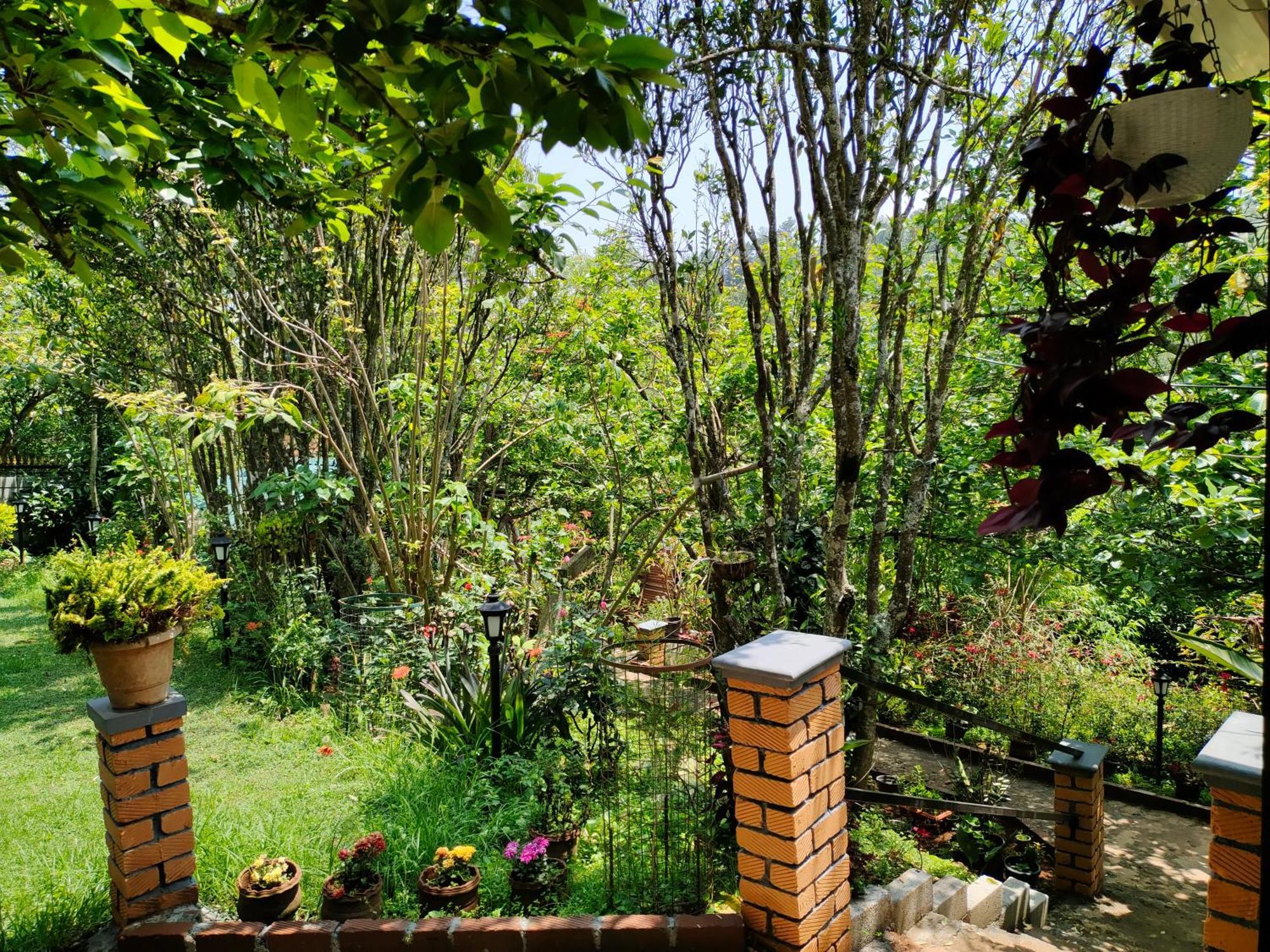 Pear Tree Entire 2Bhk Villa Kotagiri Exterior foto